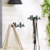 Decorative Bird Wall Hooks Set of 2 - Branch Design for Home Organization