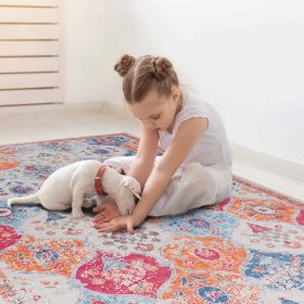 2x3 Cream Area Rug, Washable Area Rugs, Low-Pile, Non-Slip, Non-Shedding, Foldable, Kid&Pet Friendly, Area Rugs for living room, bedroom, kitchen