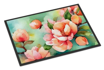 NEW Delaware Peach Blossom in Watercolor Doormat Front Door Mat Indoor Outdoor Rugs for Entryway, Non Slip Washable Low Pile, 18H X 27W