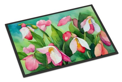 NEW Minnesota Pink and White Lady s Slippers in Watercolor Doormat Front Door Mat Indoor Outdoor Rugs for Entryway, Non Slip Washable Low Pile