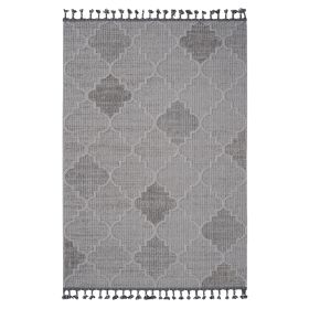 8X10 White/Grey /Trellis Indoor/Outdoor Area Rug